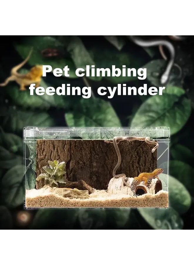 Medium Escape Proof Reptile Feeding Box with Ventilated Lid and Sand Bath Area - Image 1